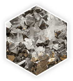 ProstaVive  ingrediant